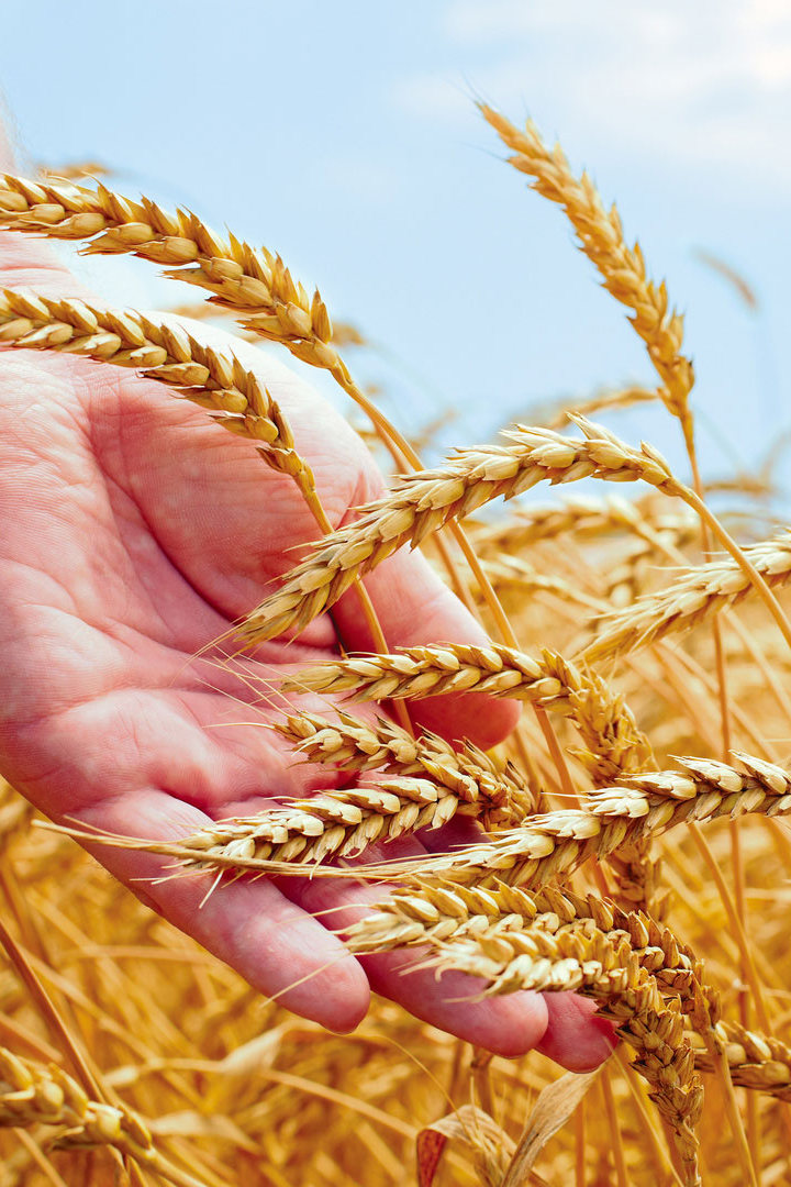 Старообрядцы в России и за рубежом