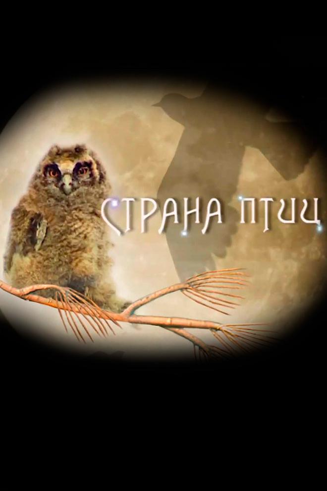 Страна птиц