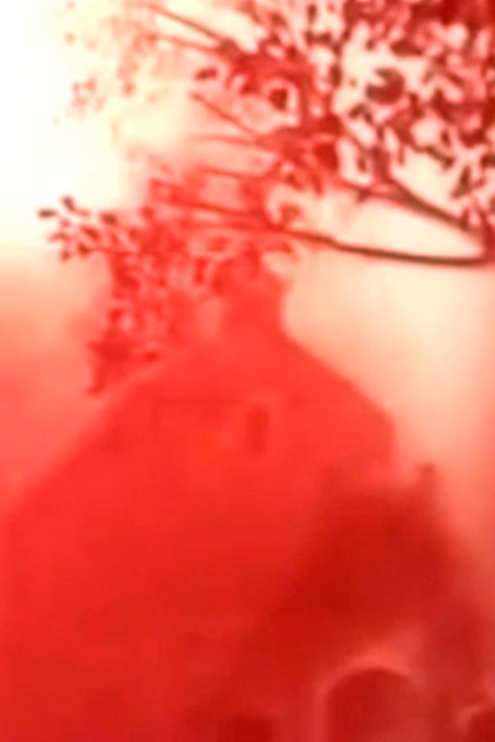 Счастливый принц