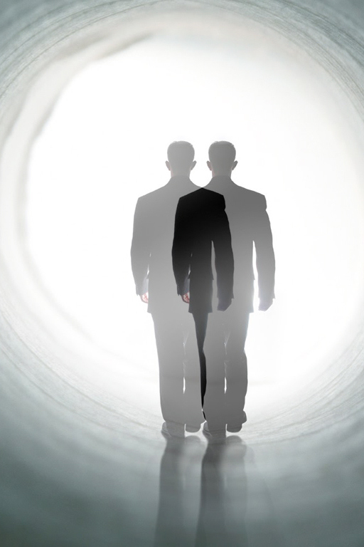 Тайны двойников