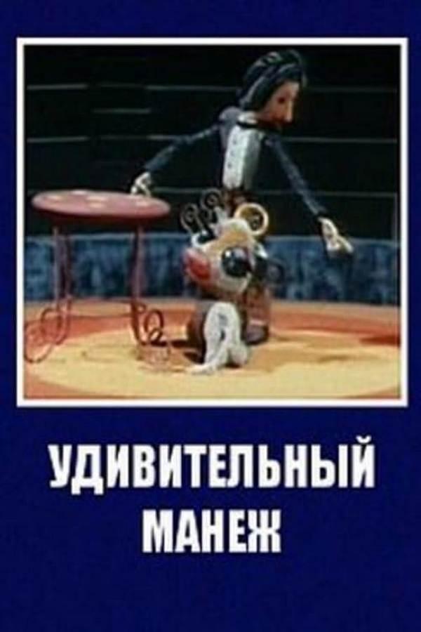 Удивительный манеж