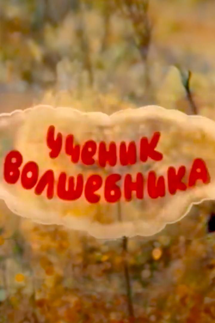 Ученик волшебника