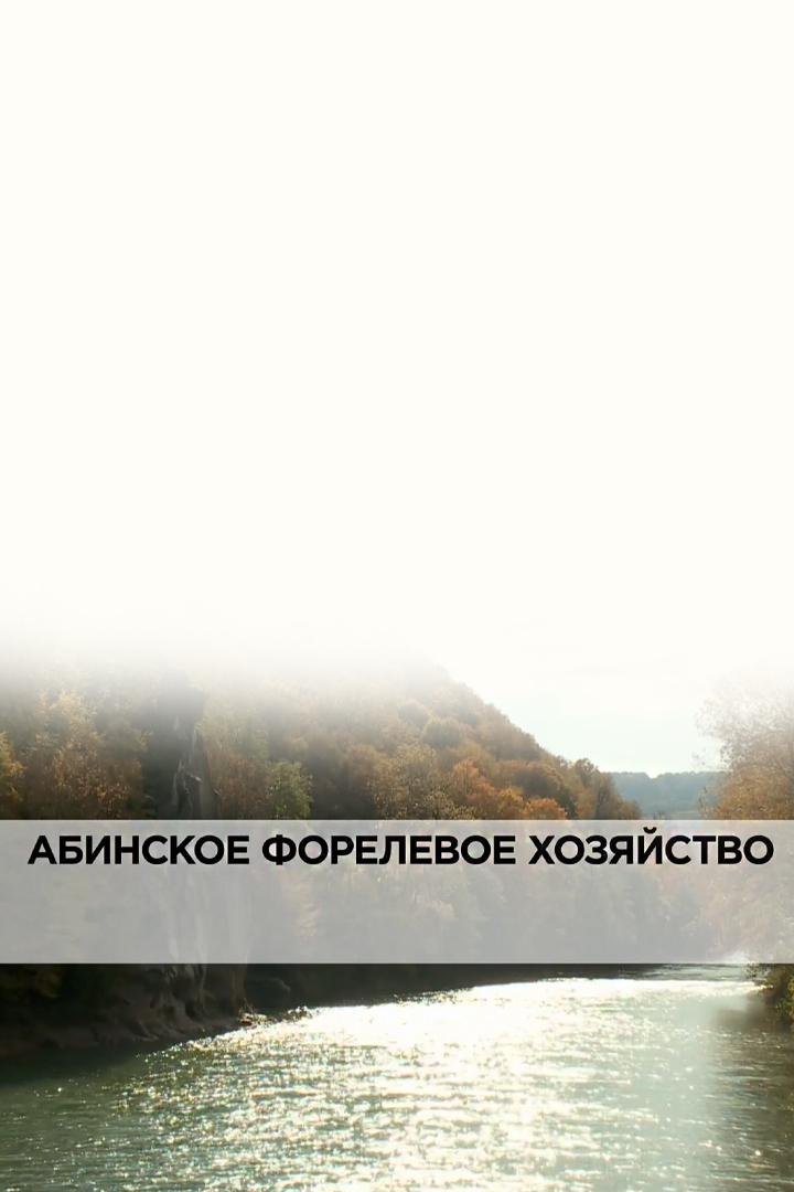 Абинское форелевое хозяйство