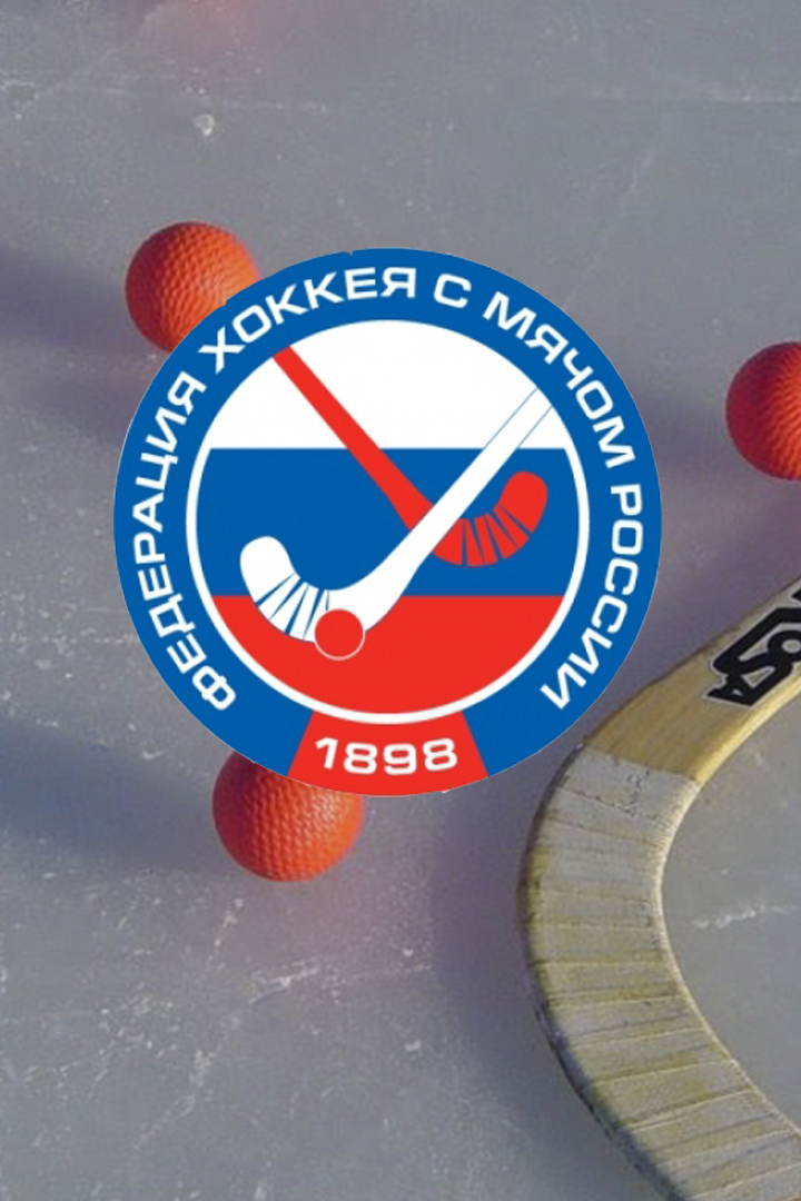 Хоккей с мячом. Кубок России. Финал