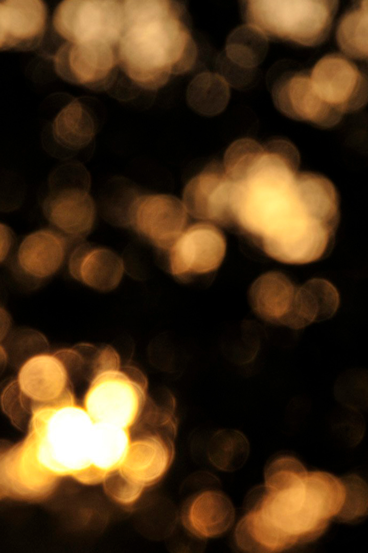 Цирковые трагедии